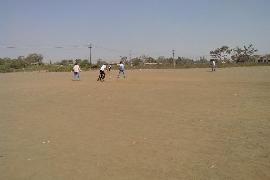 Cricket tournament 11-2-2014